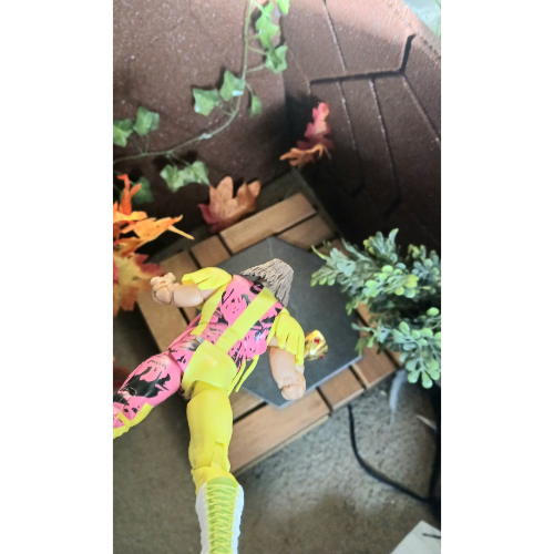 Halloween Happenings