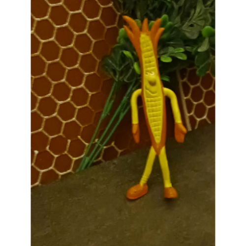 Image 30