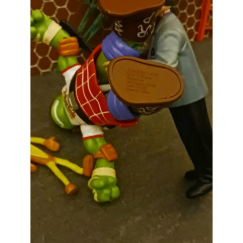 Image 30