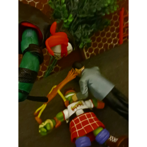 Image 30