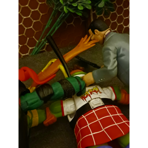 Image 30