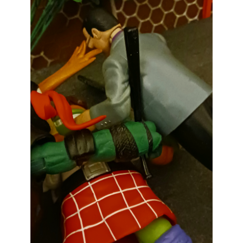 Image 30