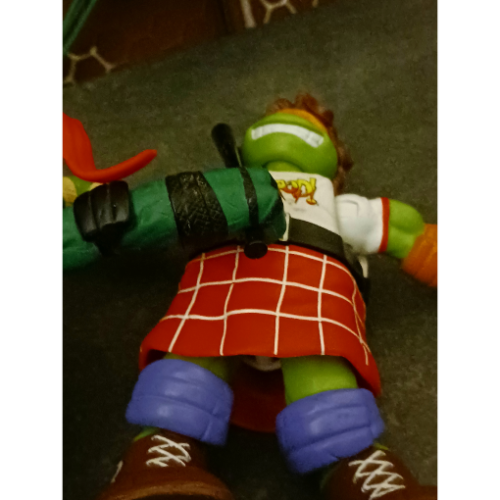 Image 30