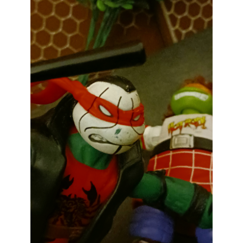 Image 30