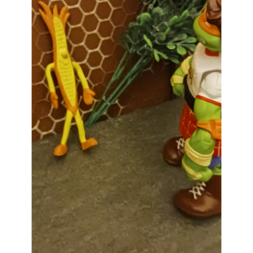 Image 30