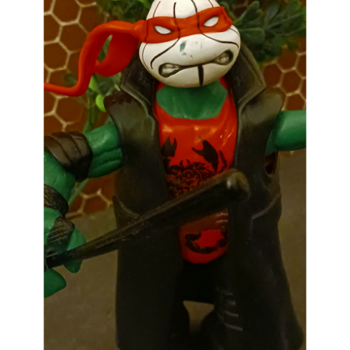 Image 30