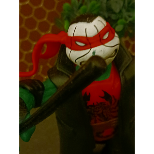 Image 30