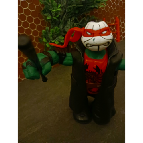Image 30