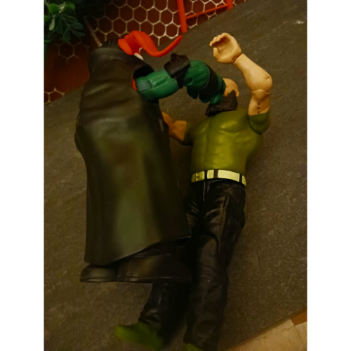 Image 30
