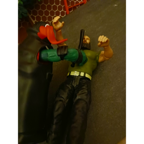 Image 30