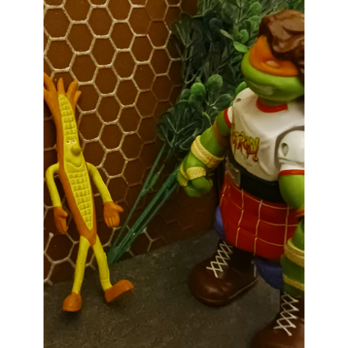Image 30