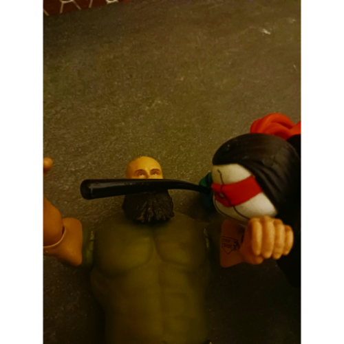 Image 30