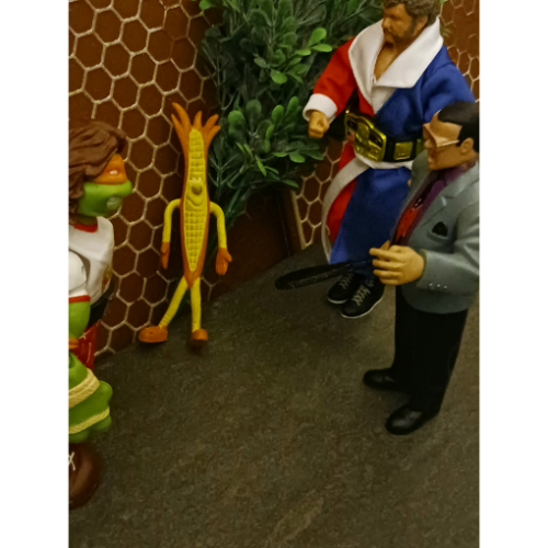 Image 30