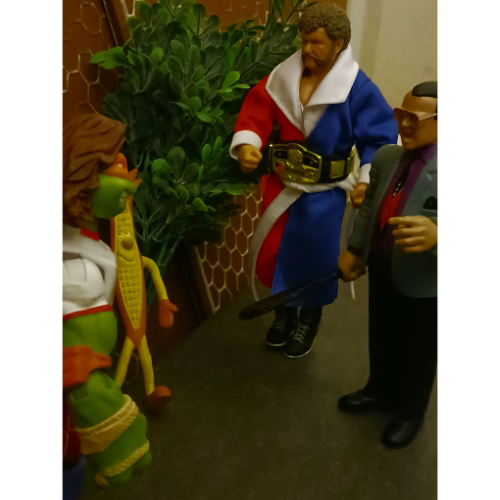 Image 30