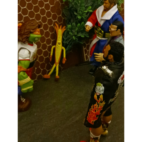Image 30