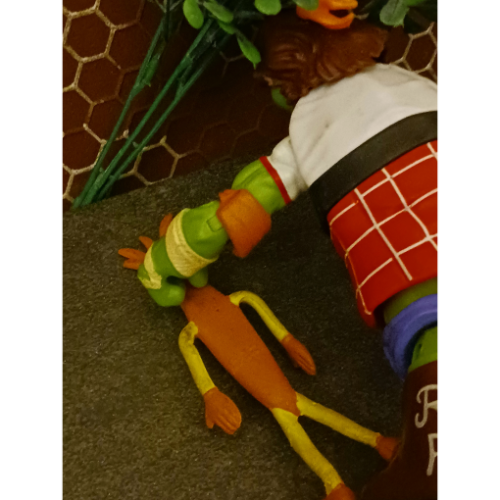 Image 30