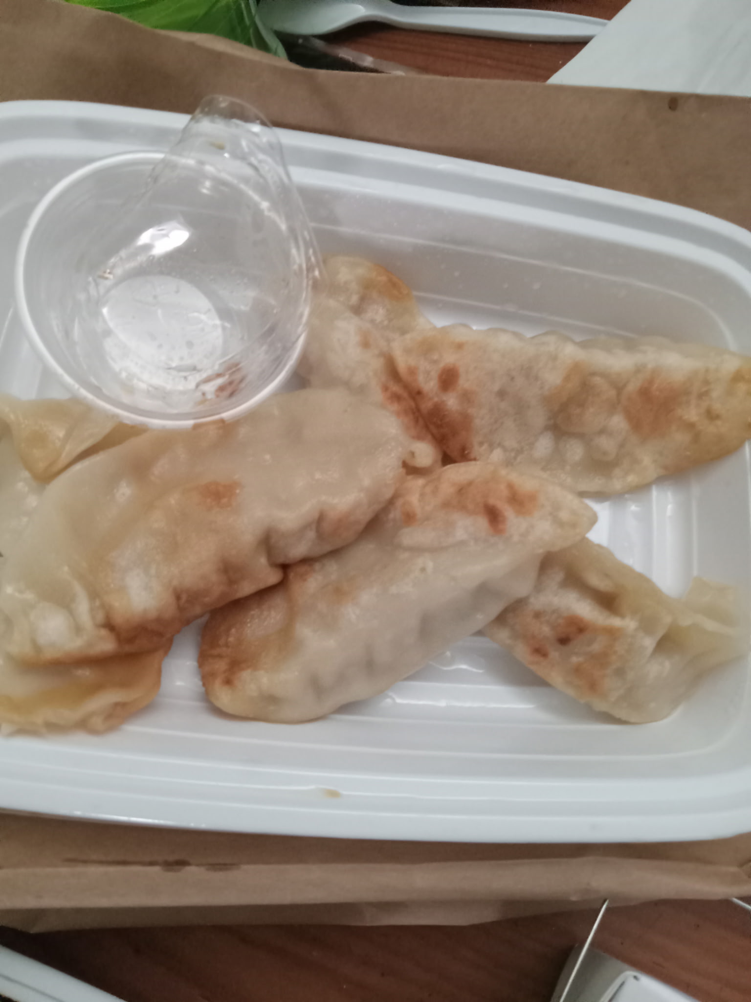 Hot Braised Chicken and pot stickers from Joy Luck Buffet 2